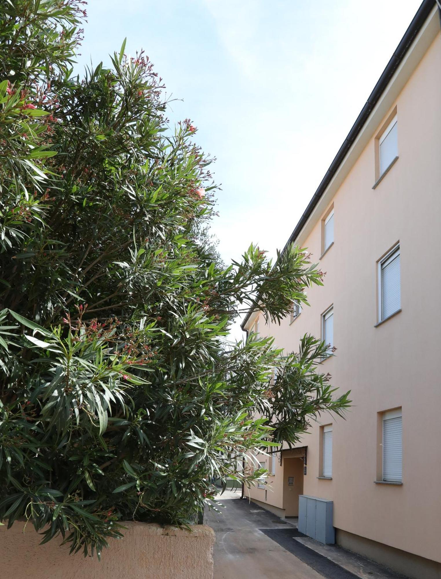 Apartment Loly Медулин Экстерьер фото